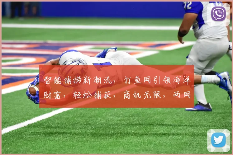 智能捕捞新潮流，打鱼网引领海洋财富，轻松捕获，商机无限，两网共赢