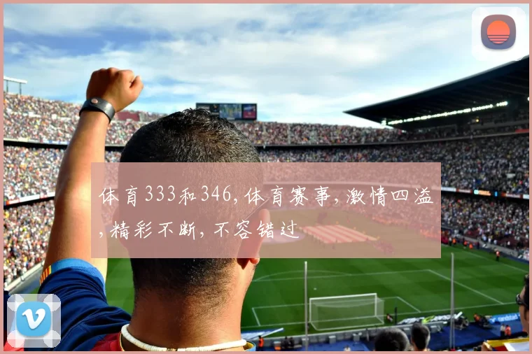体育333和346,体育赛事,激情四溢,精彩不断,不容错过