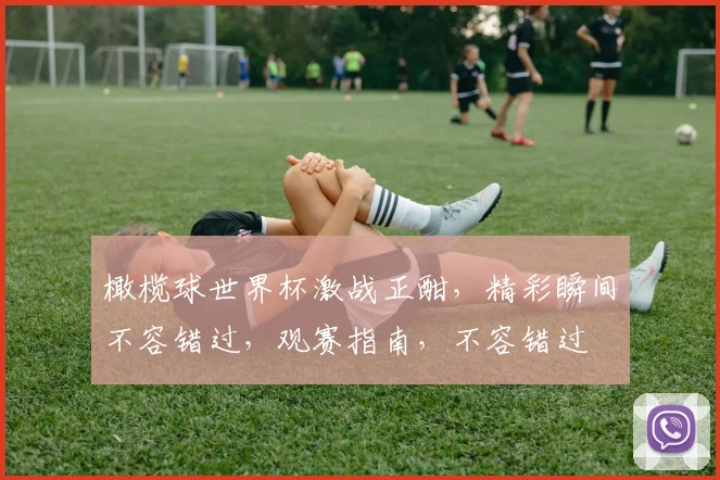 橄榄球世界杯激战正酣，精彩瞬间不容错过，观赛指南，不容错过